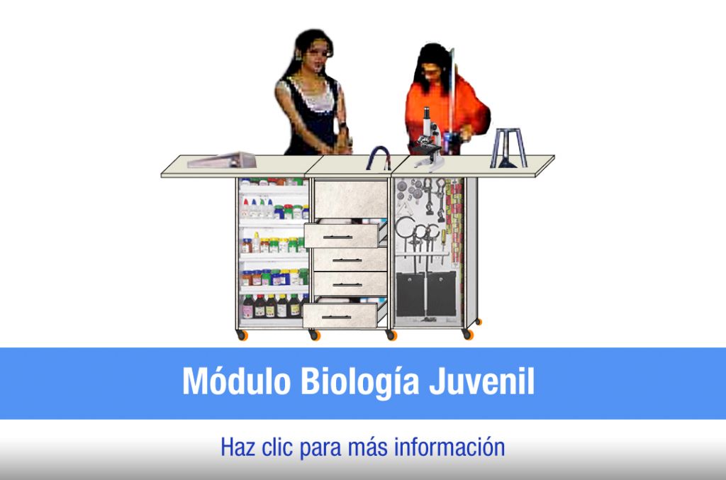 tl_files/2021/LABORATORIO OFEC/Modulo-Biologia-Juvenil.jpg